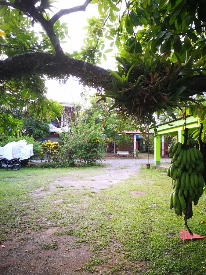 Cabinas Rhode Island Ostello Cahuita Esterno foto